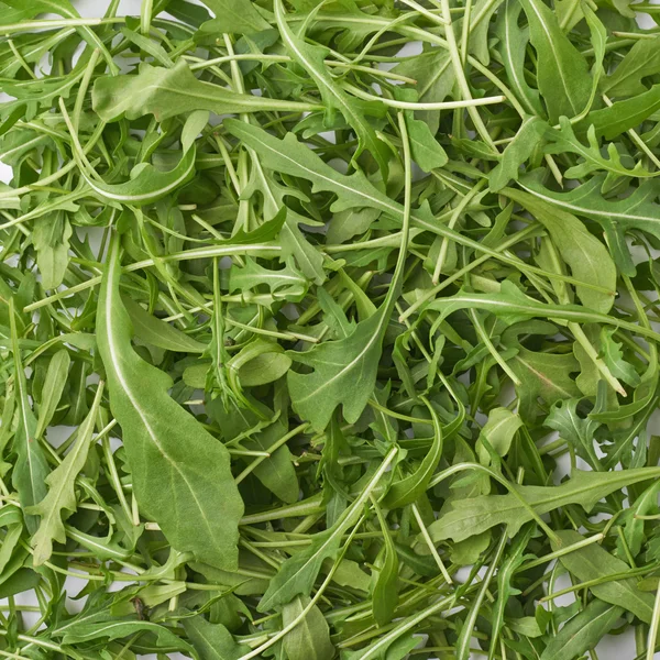 Eruca sativa rucola raketsla — Stockfoto