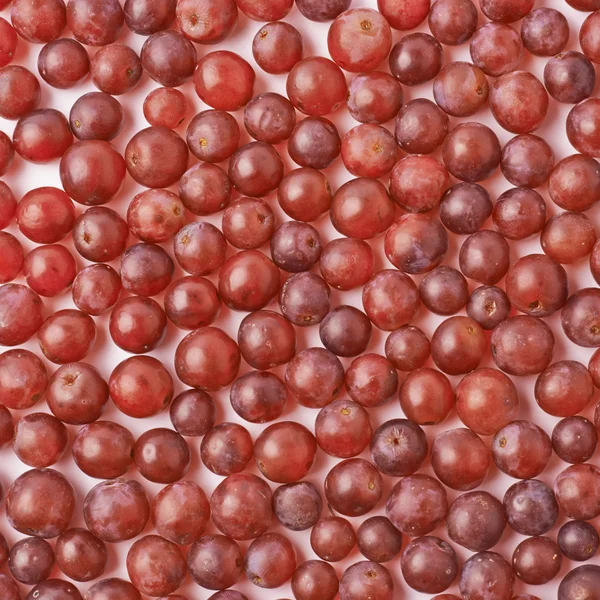 Superficie cubierta con uvas de color rojo oscuro —  Fotos de Stock