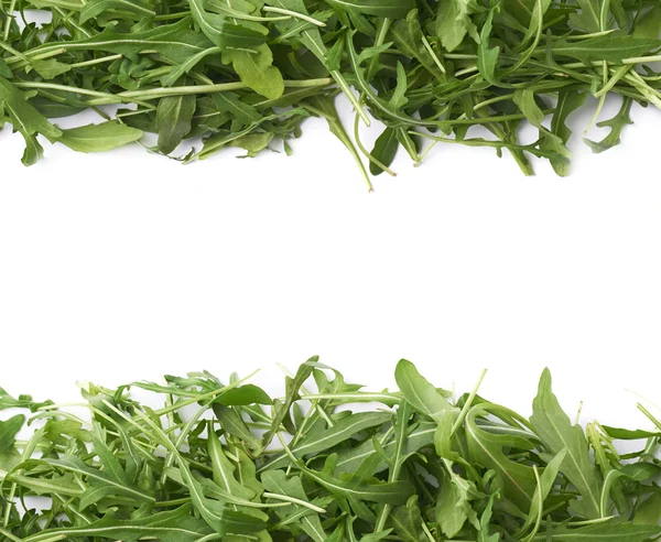 Eruca sativa rucola rocket salad — Stock Photo, Image