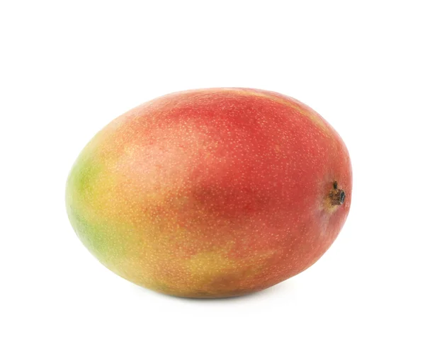 Single mango fruit — Stock Photo, Image