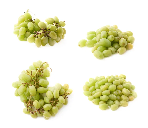 Branch of the white grape — Stock Photo, Image