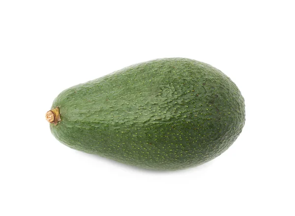 Einzelne reife Avocadofrucht — Stockfoto