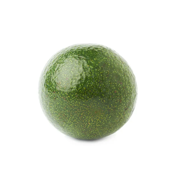 Single ripe avocado fruit — Stock Photo, Image