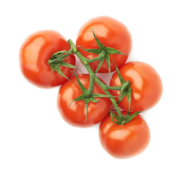 Несколько красных помидоров на одном стебле — стоковое фото