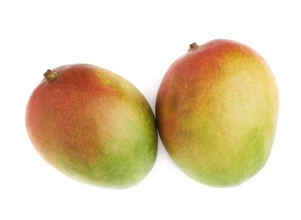 Dua buah mangga — Stok Foto