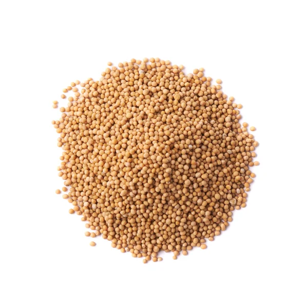 Pile of brown mustard seeds — Stock Photo, Image