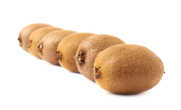 Línea de seis kiwis — Foto de Stock