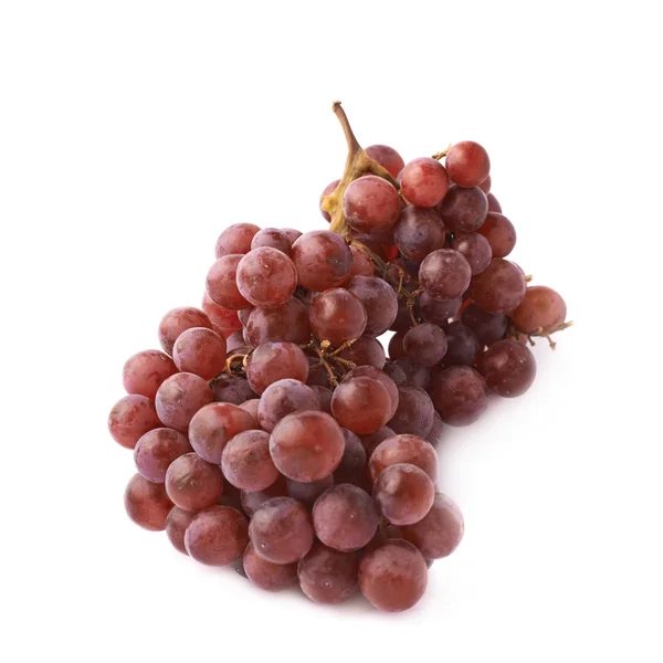 Branch of the dark grapes — Stock Photo, Image