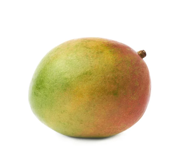 Single mango fruit — Stock Photo, Image