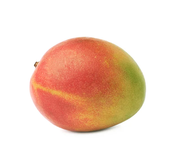 Einzelne Mangofrucht — Stockfoto