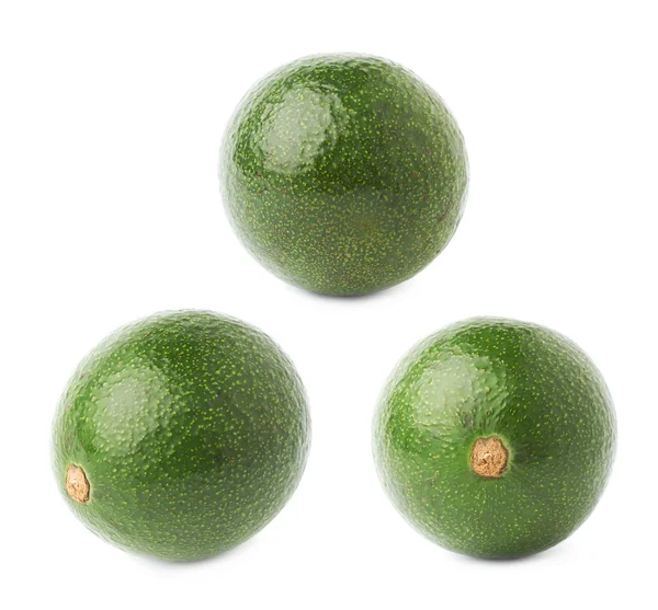 Einzelne reife Avocadofrüchte — Stockfoto