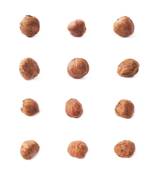 Multiple single hazelnuts — Stock Photo, Image