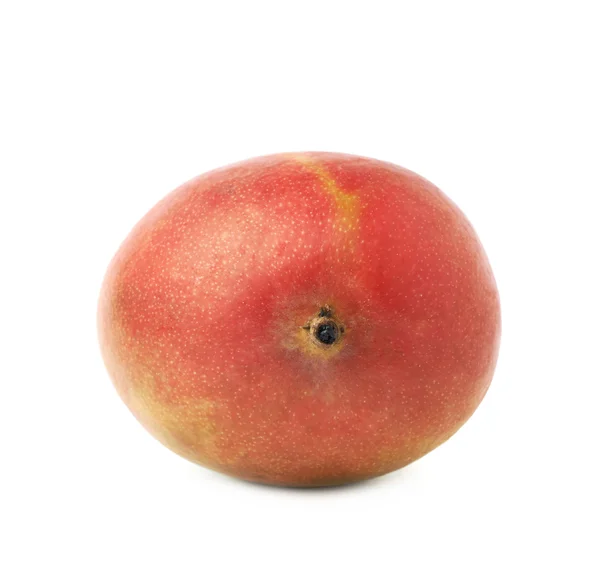 Einzelne Mangofrucht — Stockfoto