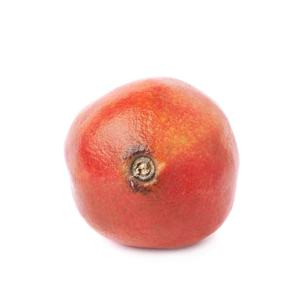 Pomegranate punica granatum fruit — Stock Photo, Image