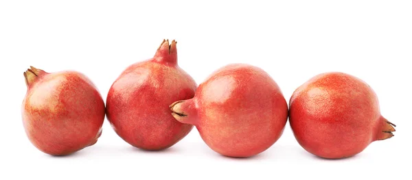 4 석류 과일 — 스톡 사진