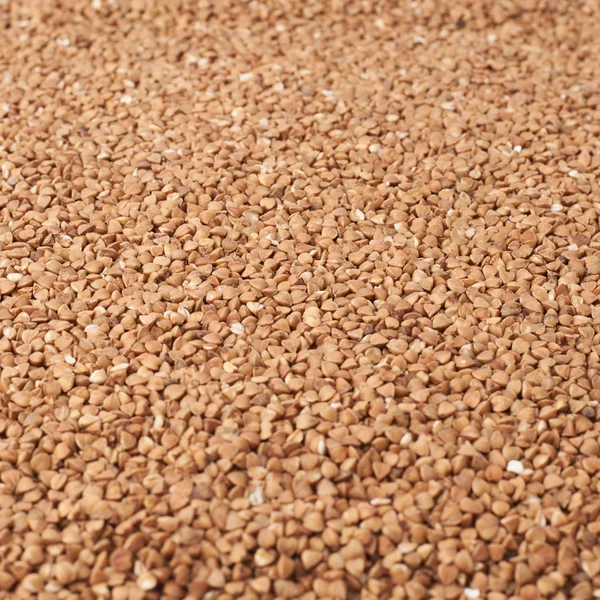 Surface covered with the buckwheat grains — Stock Photo, Image