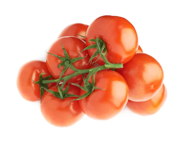 Multiple red tomatoes on a single stem — Stock Photo, Image