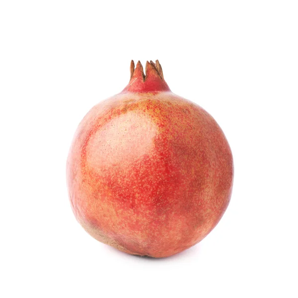 Pomegranate punica granatum fruit — Stock Photo, Image