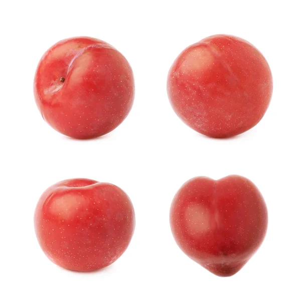 Single red victoria plums — Stock Photo, Image