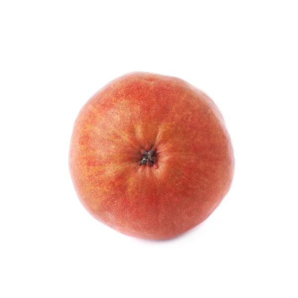Kırmızı armut meyve — Stok fotoğraf
