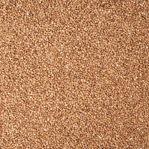 Surface covered with the buckwheat seeds — Stock Photo, Image