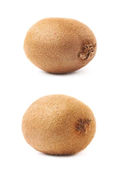 Enda hela kiwifruits — Stockfoto