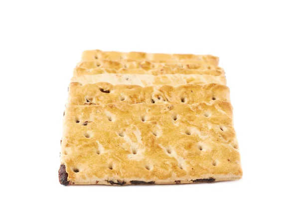 Multiple raisin cracker cookies — Stock Photo, Image