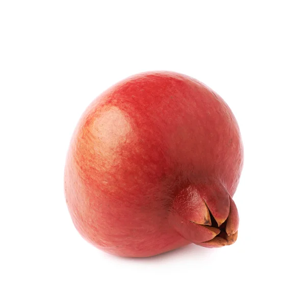 Pomegranate punica granatum fruit — Stock Photo, Image