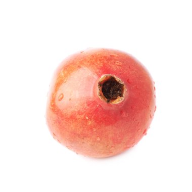 Nar punica granatum meyve