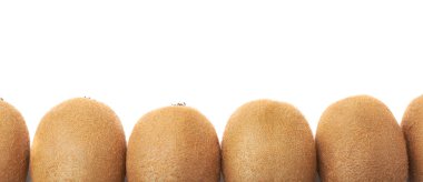 Bir çizgi halinde düzenlenmiş kivi