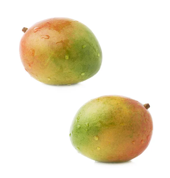 Single mango fruits — Stock Photo, Image