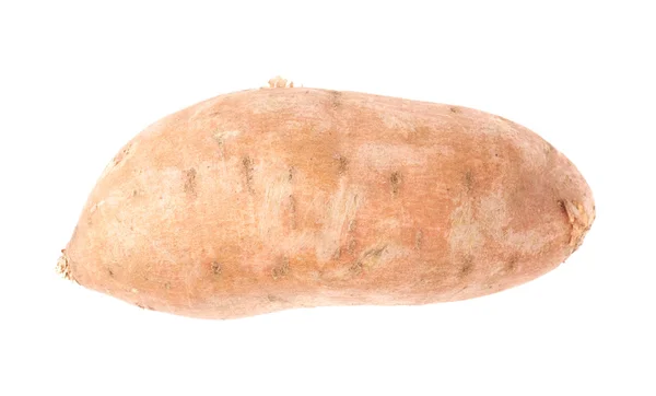 Sweet potato plant — Stock Photo, Image