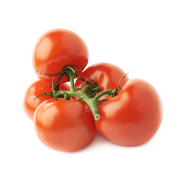 Meerdere rode tomaten op een enkele stengel — Stockfoto