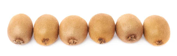 Lijn van zes kiwifruits — Stockfoto