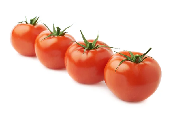 Cuatro tomates en una línea — Foto de Stock