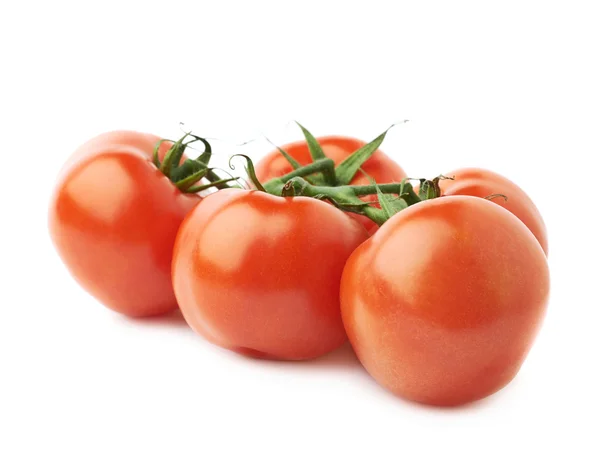 Множество красных помидоров — стоковое фото