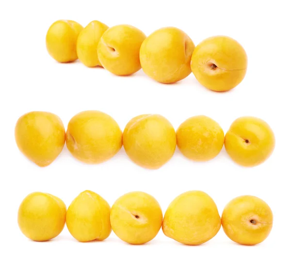 Lined up yellow plums — Stockfoto