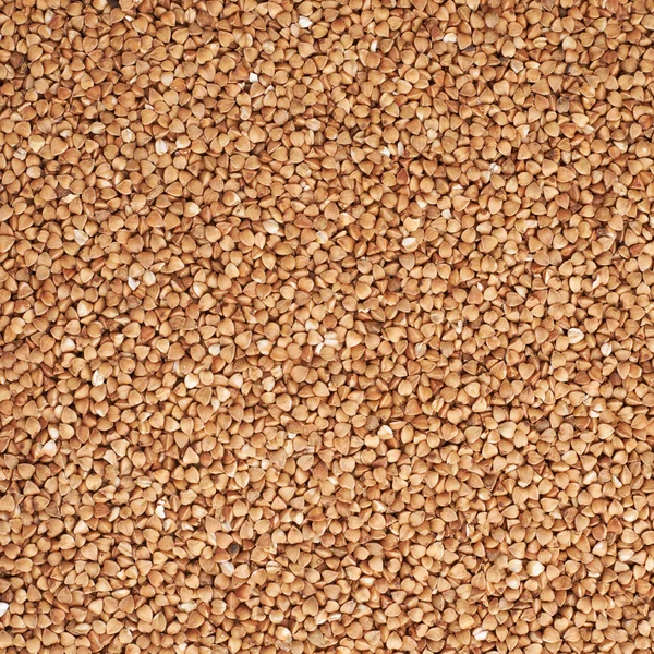 Superfície coberta com as sementes de trigo mourisco — Fotografia de Stock