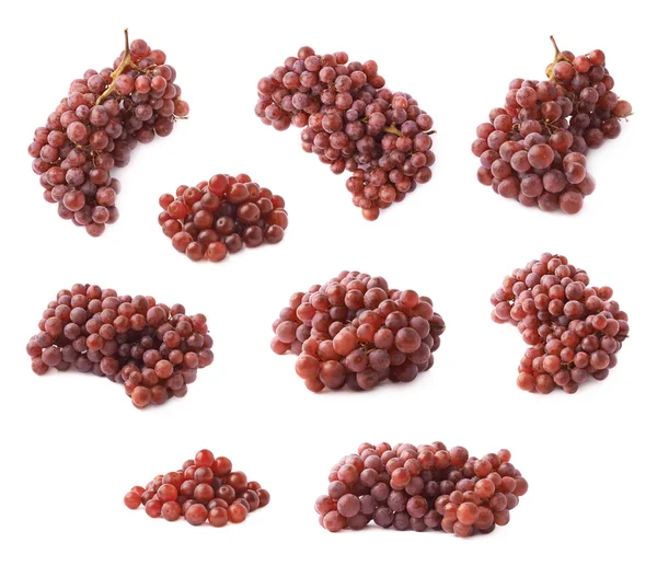 Branch of the dark grape — Stock Photo, Image