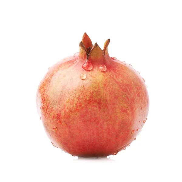 Pomegranate punica granatum fruit — Stock Photo, Image