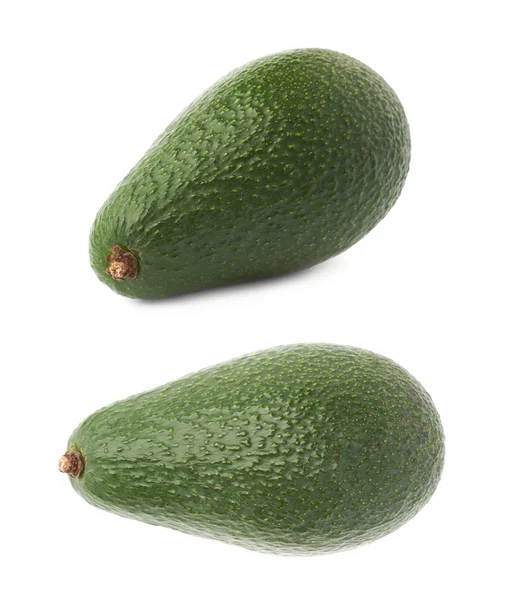 Einzelne reife Avocadofrucht — Stockfoto