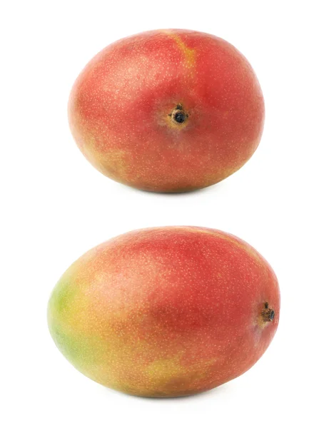 Single mango fruit — Stock Photo, Image