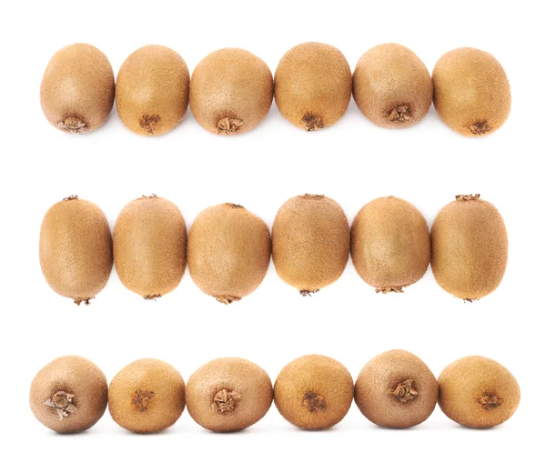 Line of six kiwifruits — Stock Photo, Image