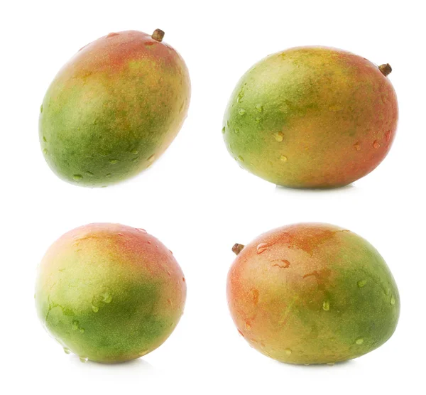 Fruta de mango único —  Fotos de Stock