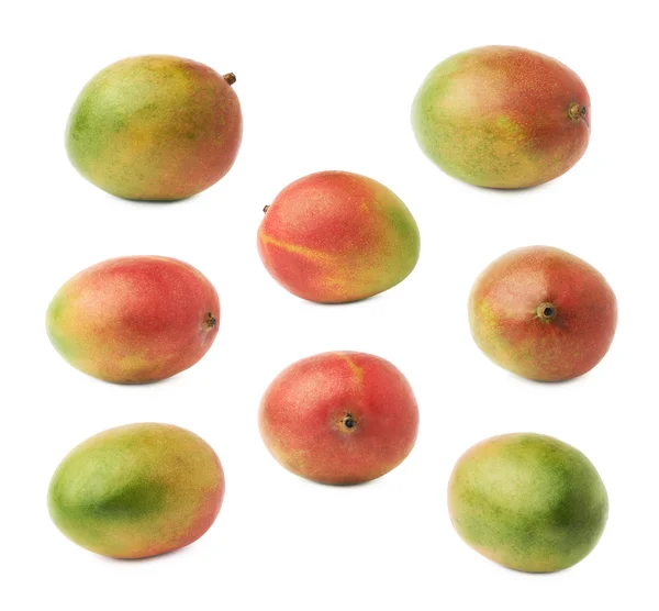 Frutas maduras de manga — Fotografia de Stock