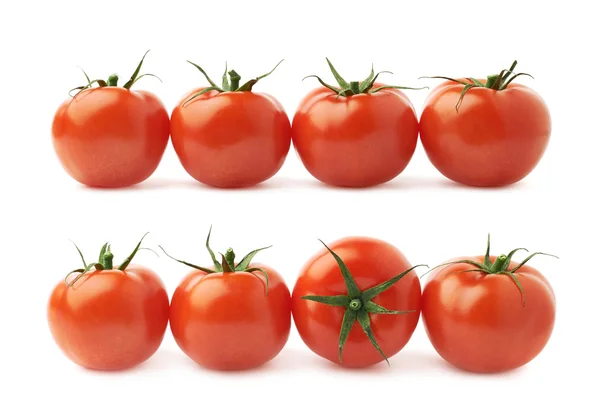 Спелые помидоры в ряд — стоковое фото