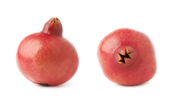 석류 석류 granatum 과일 — 스톡 사진