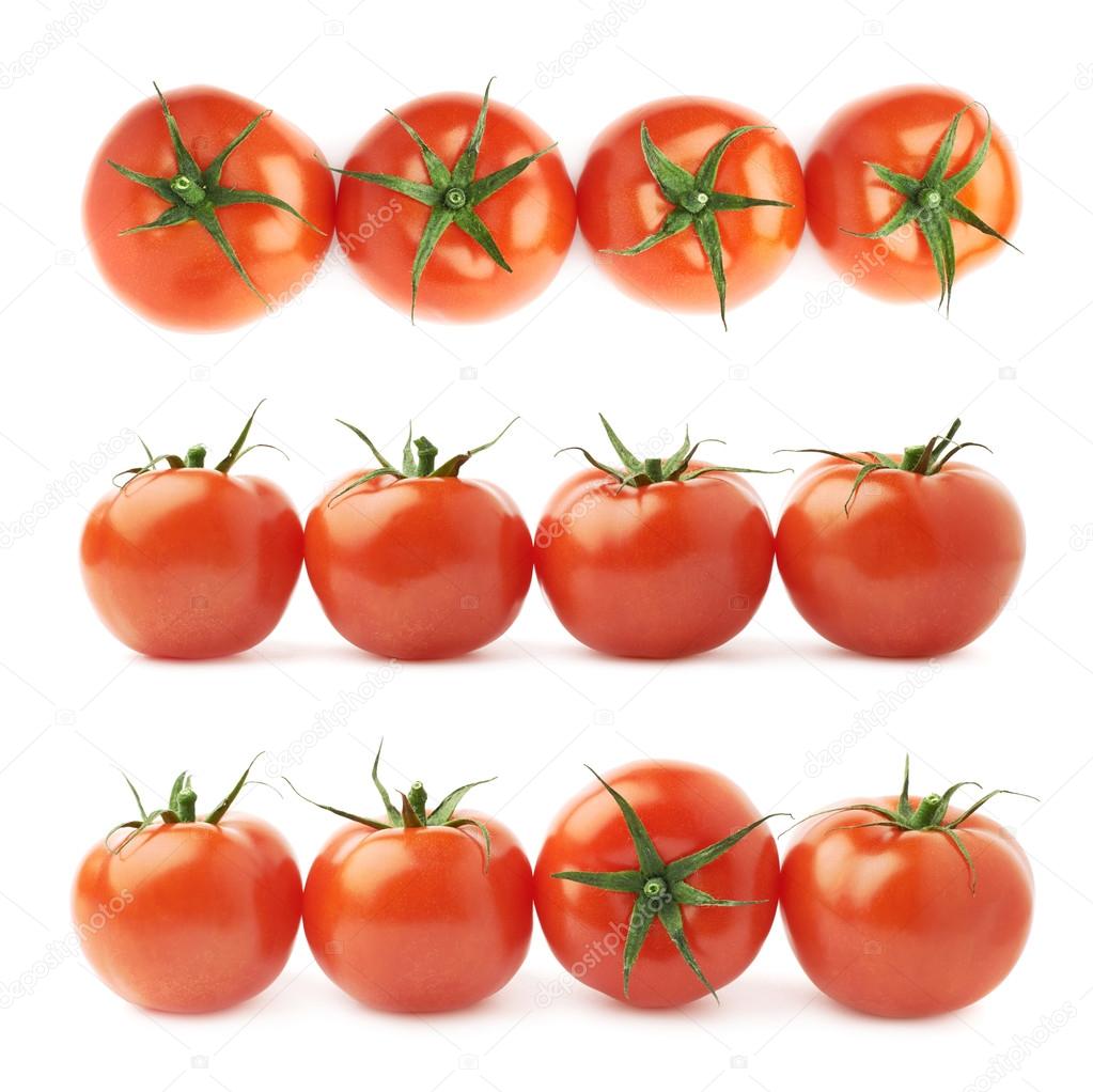 ripe tomatoes in lines
