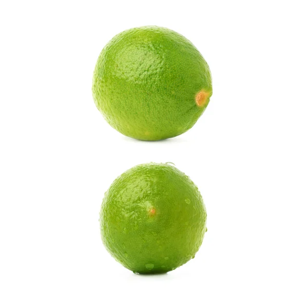 Frutos de Limão maduros — Fotografia de Stock