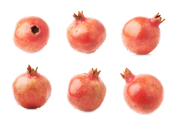 Granatäpple Punica granatum frukter — Stockfoto